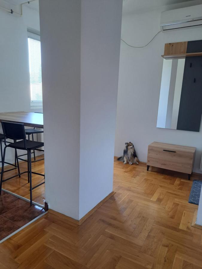 Apartman Zvezdica -Smederevo, Netflix Exteriör bild